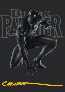 Art Series: Black Panther, Hope Enduring (V.2)